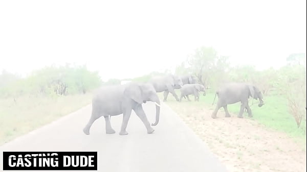 Shaved Pussy Ebony Plays With Her Clit Before Deep Throating White Cock