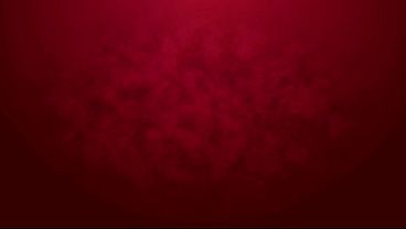 First DP for newbie Stefani Jameson